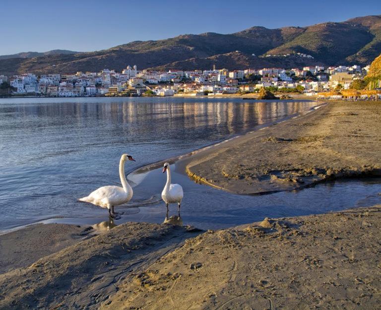 Πλατανακι 1 Family Friendly Villa Ándros Exterior foto